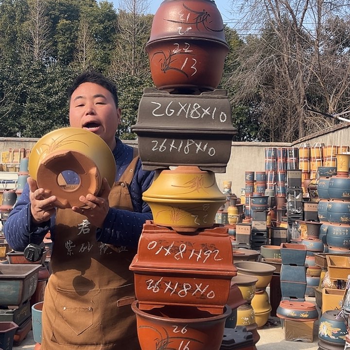 紫砂紫砂花盆盆栽