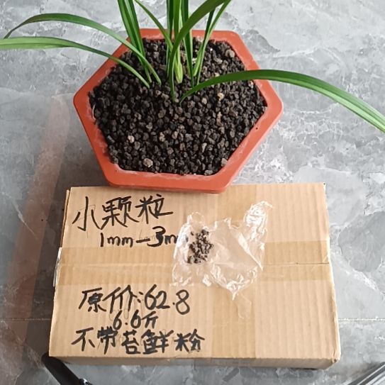 雾***秋兰菌黑山土小颗粒6.6斤