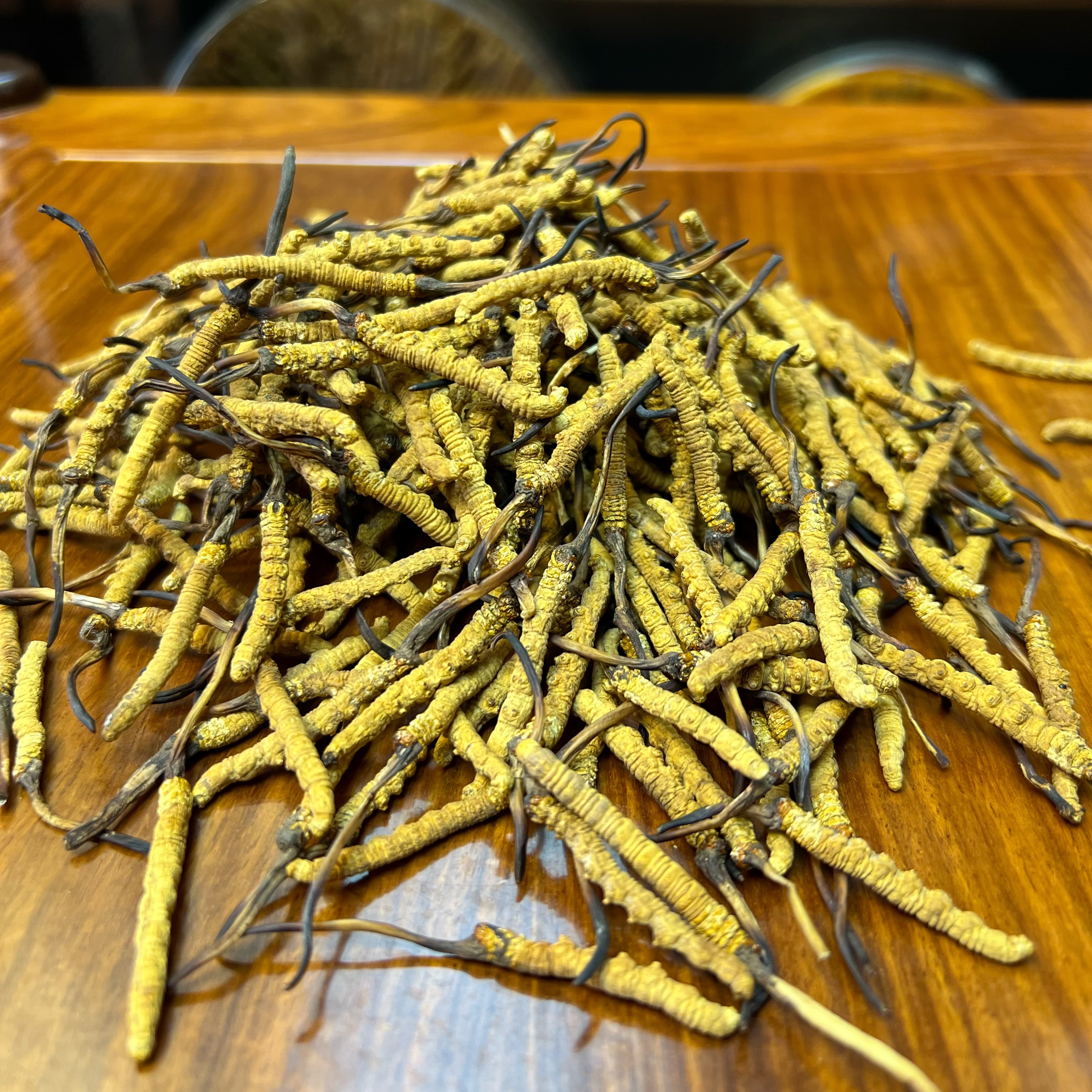 西藏那曲【冬虫夏草】 小草 2025新干草 自然晒干 品质滋补 实拍图