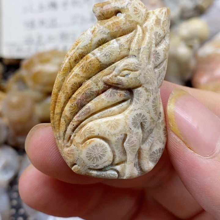 颈饰未镶嵌硅化珊瑚（珊瑚玉）有瑕
