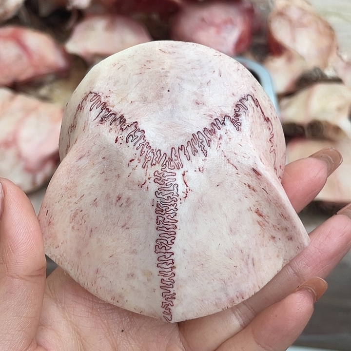 养殖鹿骨三界牌子