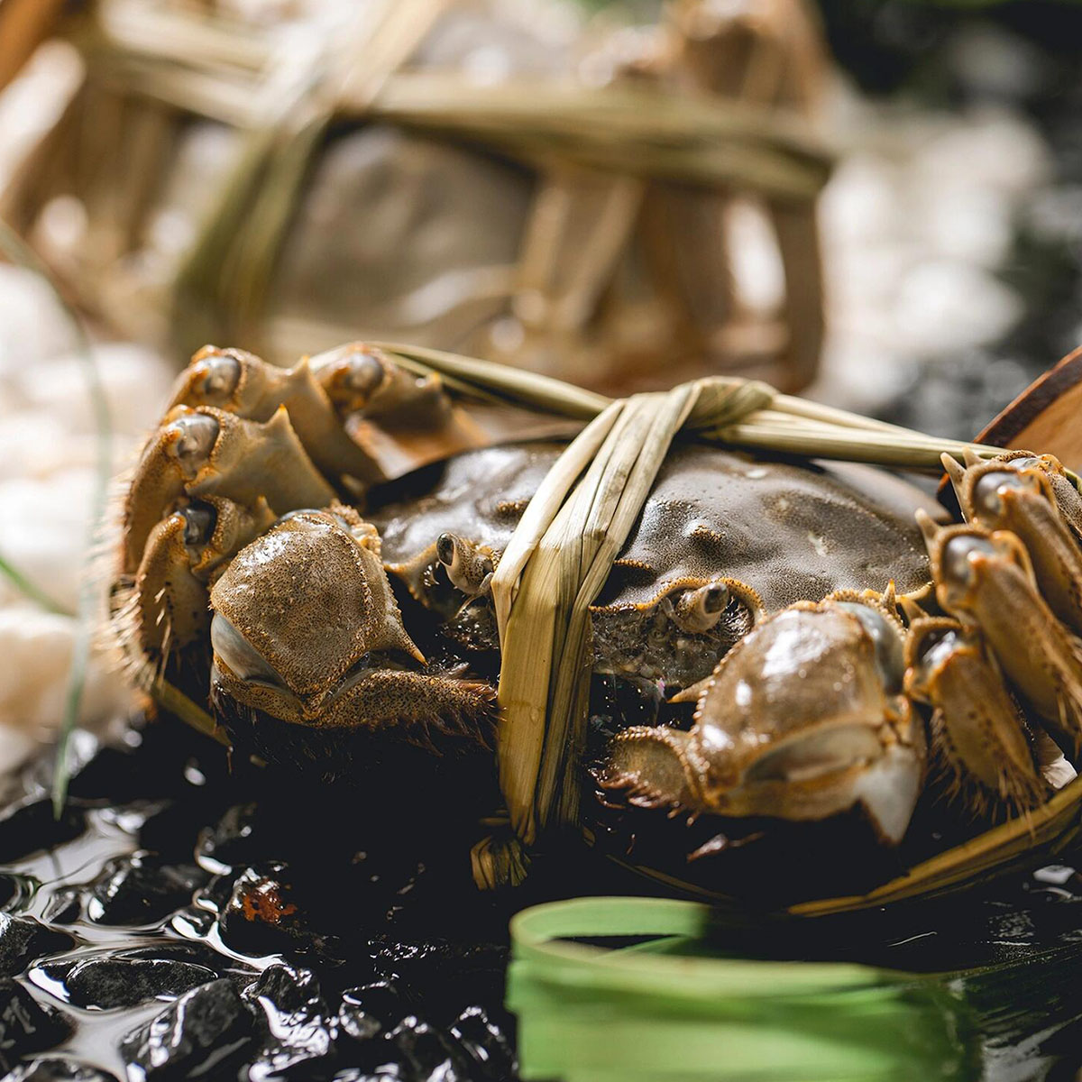 【活蟹】苏州东山大闸蟹公蟹4.5两 母蟹3.5两 4只尝鲜装螃蟹