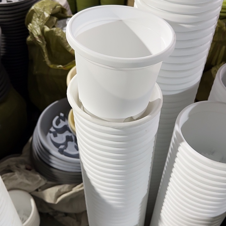 四季2#口径17白色6个带托