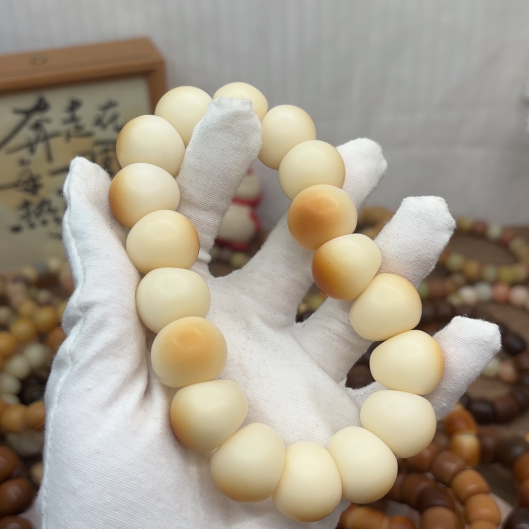 吊坠菩提根/象牙果20干磨瑕疵落地果肠209