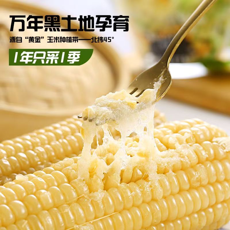 【试吃3根】新白糯玉米 东北头茬 整箱10根  东北黑土地种植