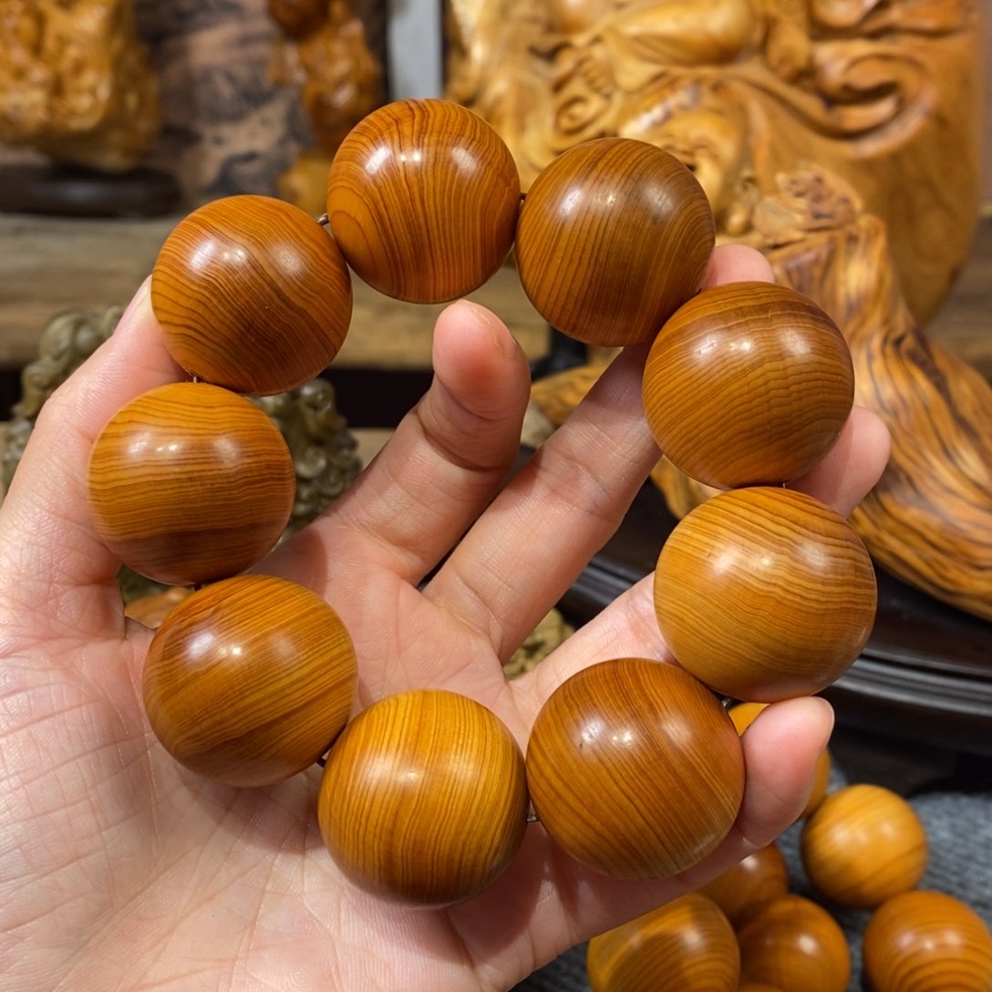 柏木（崖柏）崖柏3.0