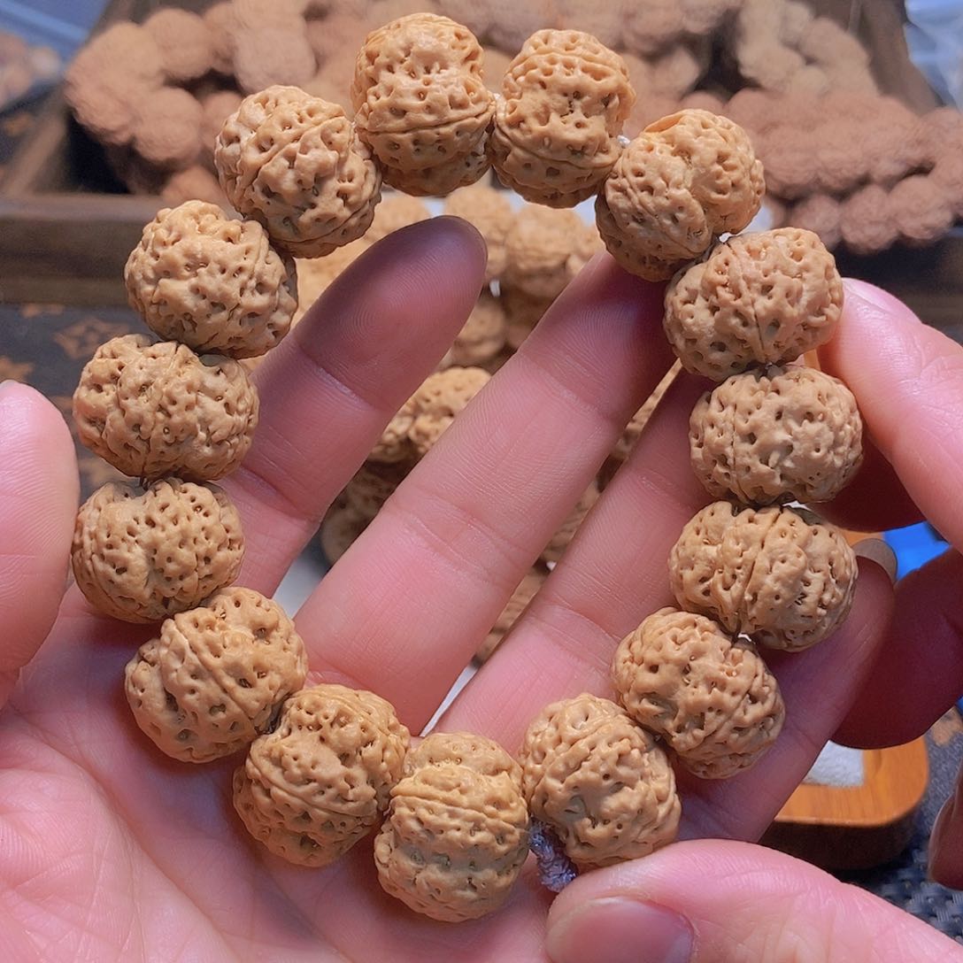金刚菩提把件5瓣23左右至尊梅花
