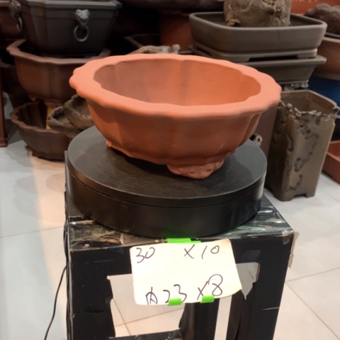 紫砂花盆红泥的莲花