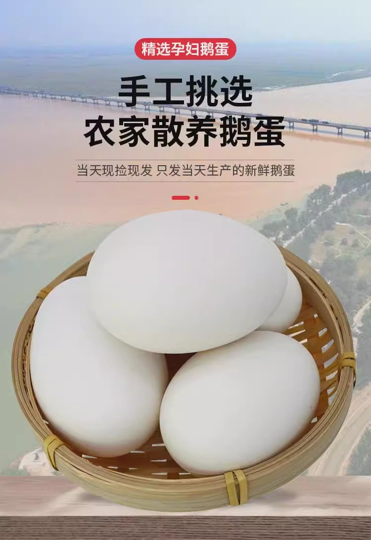 新鲜鹅蛋孕妇农家散养土鹅蛋正宗特产大个生鹅蛋精品80-100克6枚