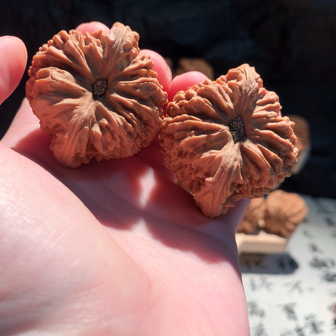 把件文玩核桃L****e45南疆