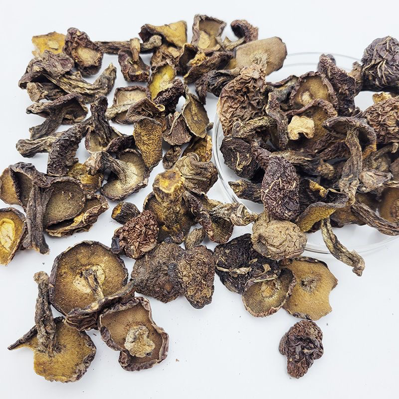 松蛾子小蘑菇松蛾子钉粘团子蘑菇小鸡炖蘑菇东北特产黑蘑菇粘窝子