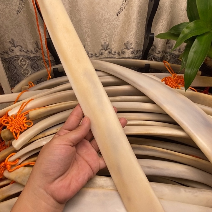 *****天然高货牛骨刮痧板