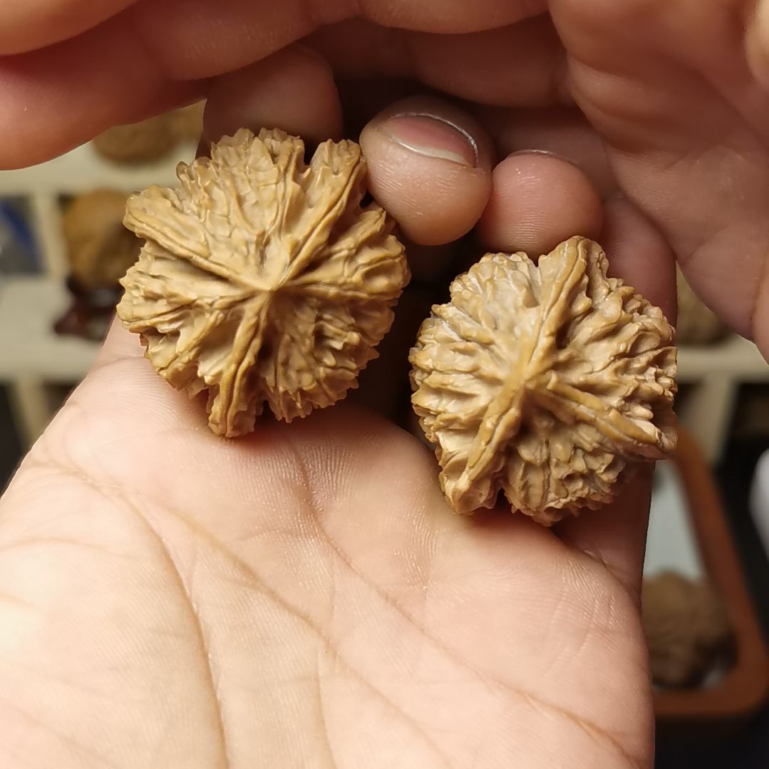 核桃文玩核桃高端小众文山三棱全品练手对福利款