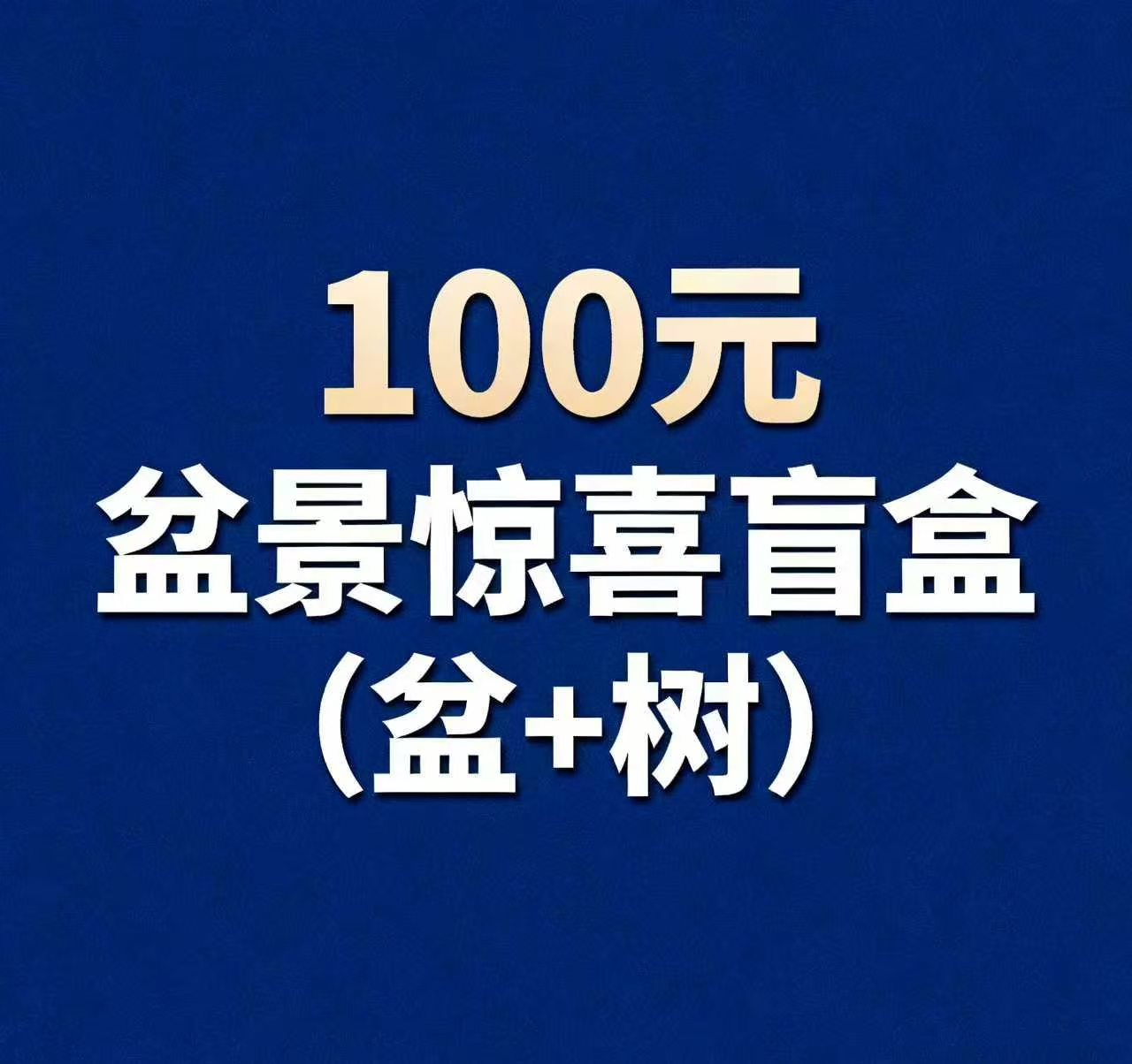 不定好货惊喜盲盒