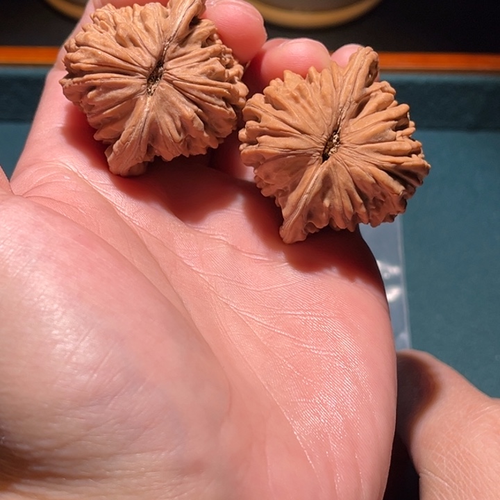 文玩核桃把件张*利42楼子毕业对