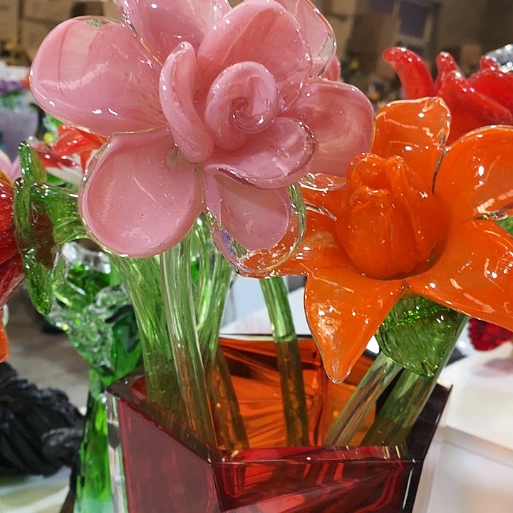 夜光花高45厘米宽12