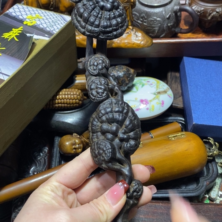 端景台紫檀木类木