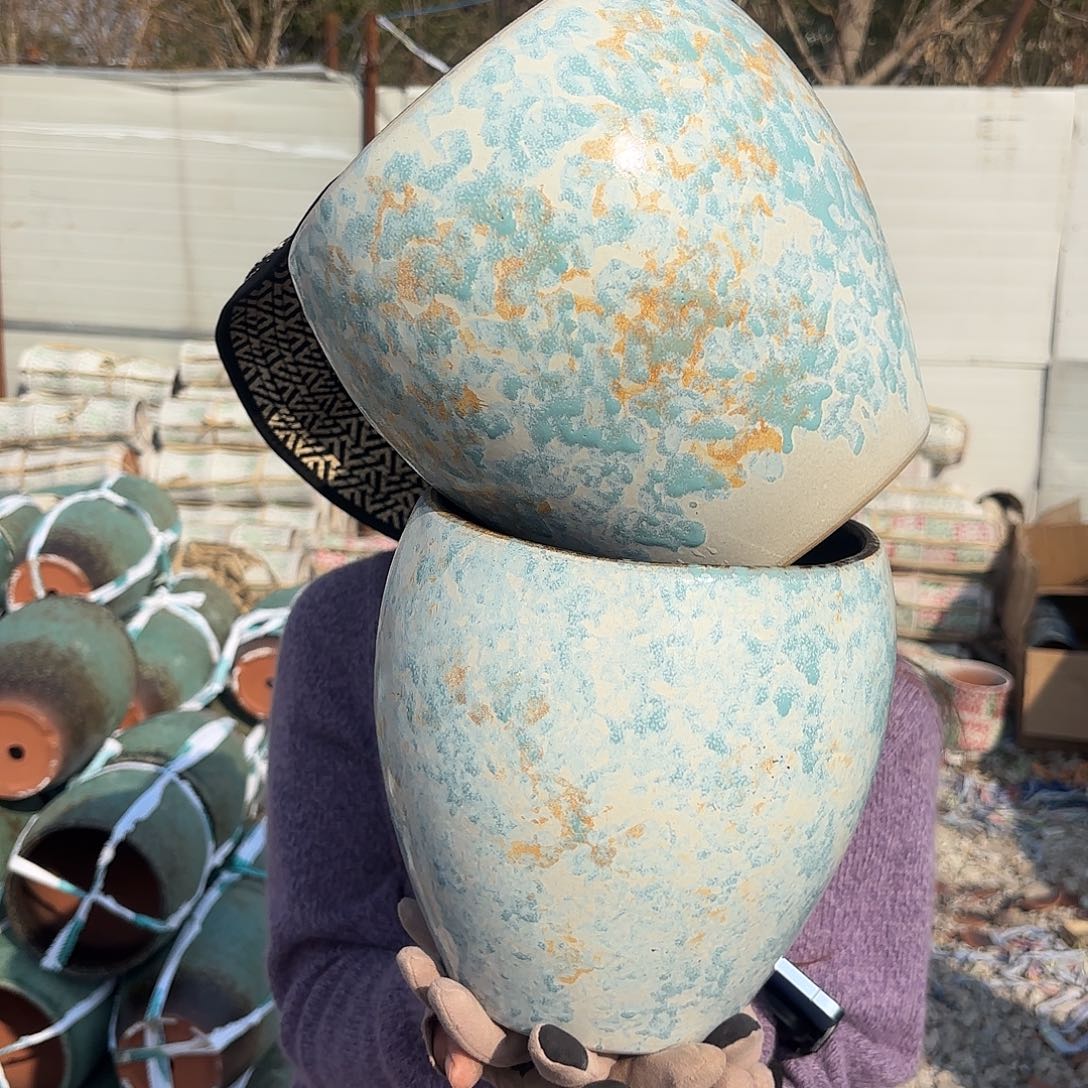 口径18高度20两个蛋壳瑕疵