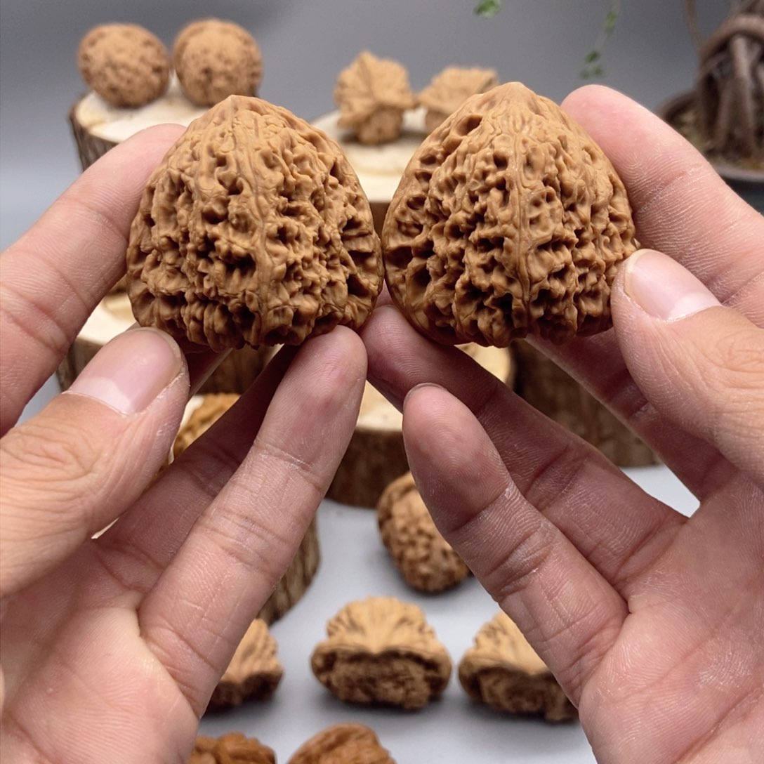 43尺寸全品涿鹿三角将