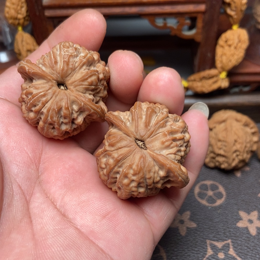 核***了大叶紫檀（黑酸枝木类）血麒麟