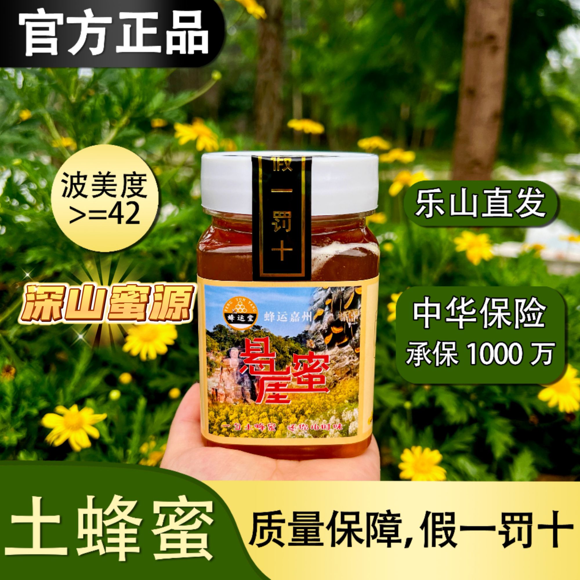 【假一赔十】四川特产悬崖蜂蜜土蜂蜜500g*2