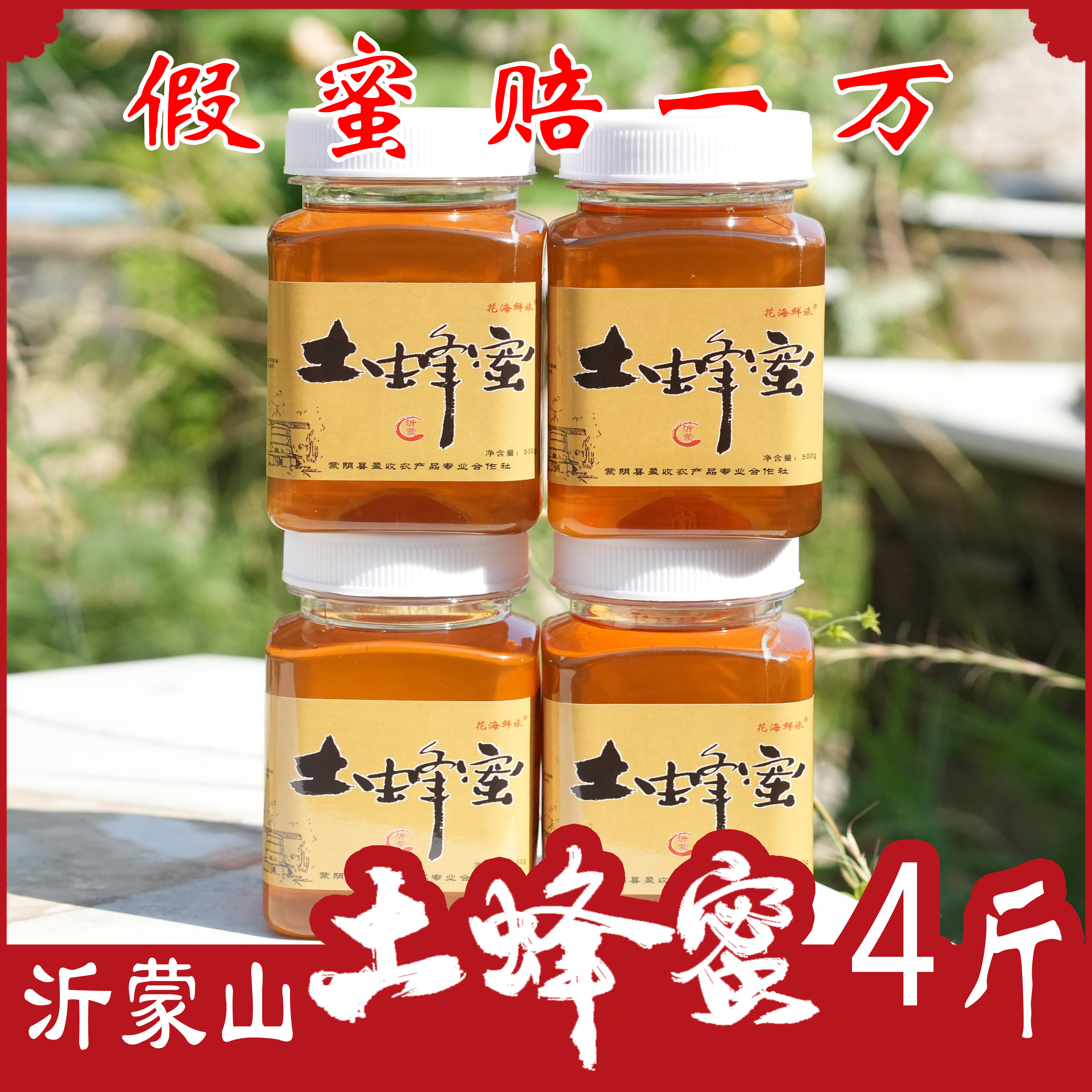 沂蒙山土蜂蜜4斤【纯正蜂蜜】采集野山花《可做酵素》 优质蜜源