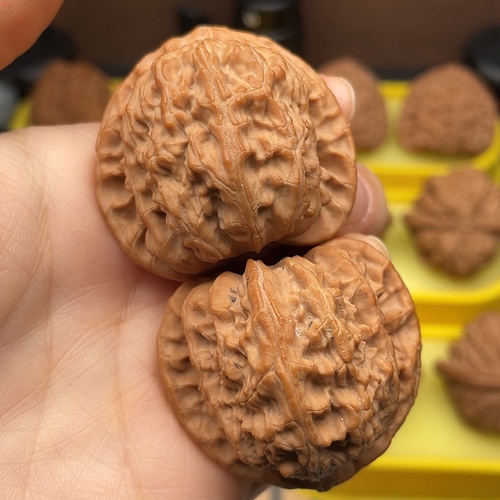 冬***灼三角白41全品。     