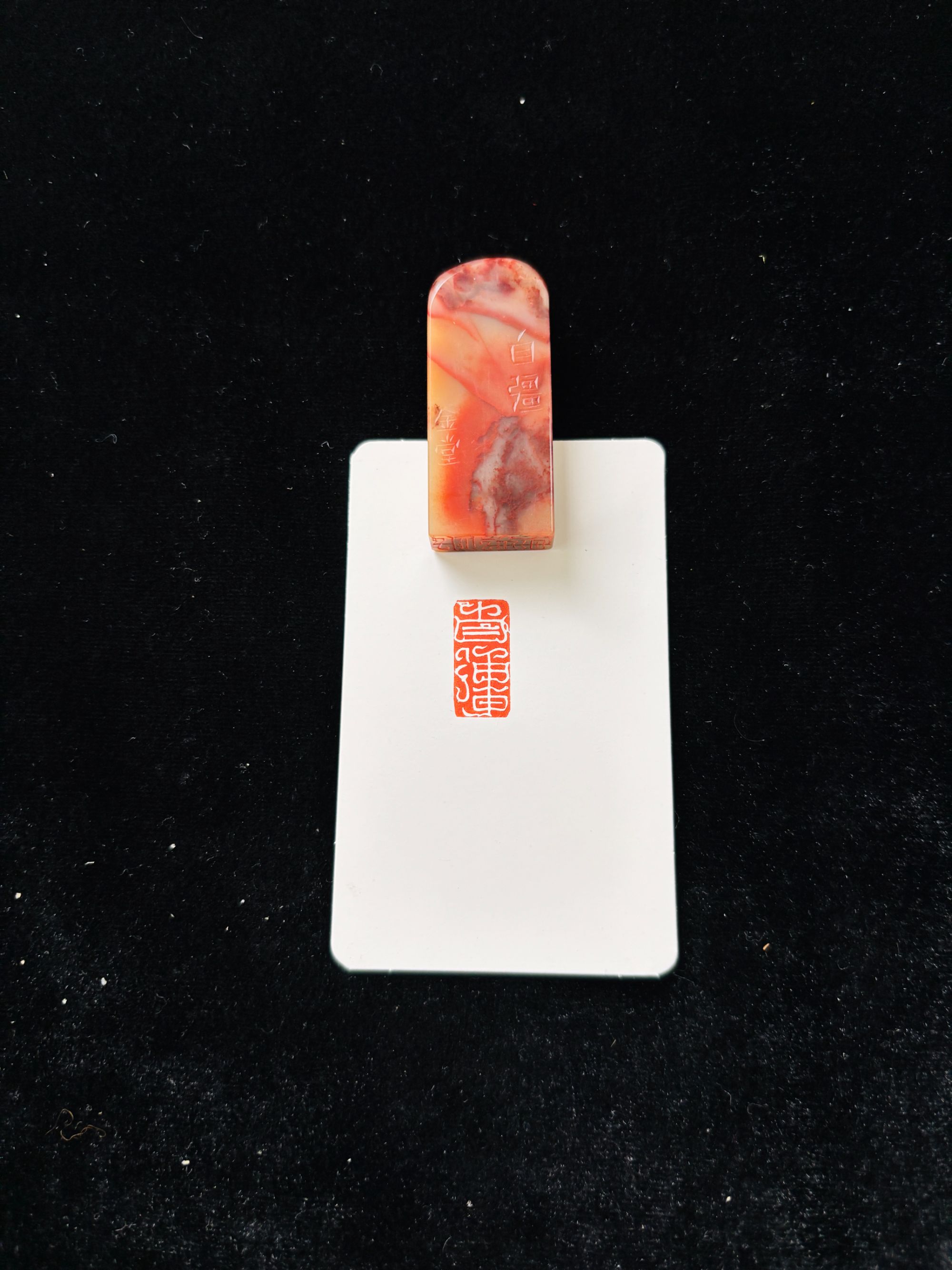 1x2cm鸟虫引首章：自强