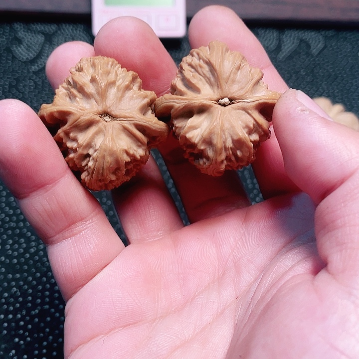 文玩核桃吊坠采****菇三角白