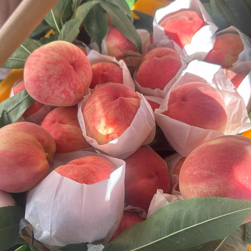 水蜜桃四粒装（约2.3斤）四川省