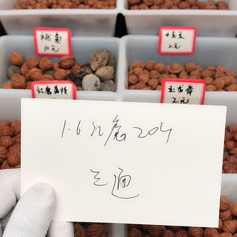 桃核吊坠烟****.龙纹桃核的搭配