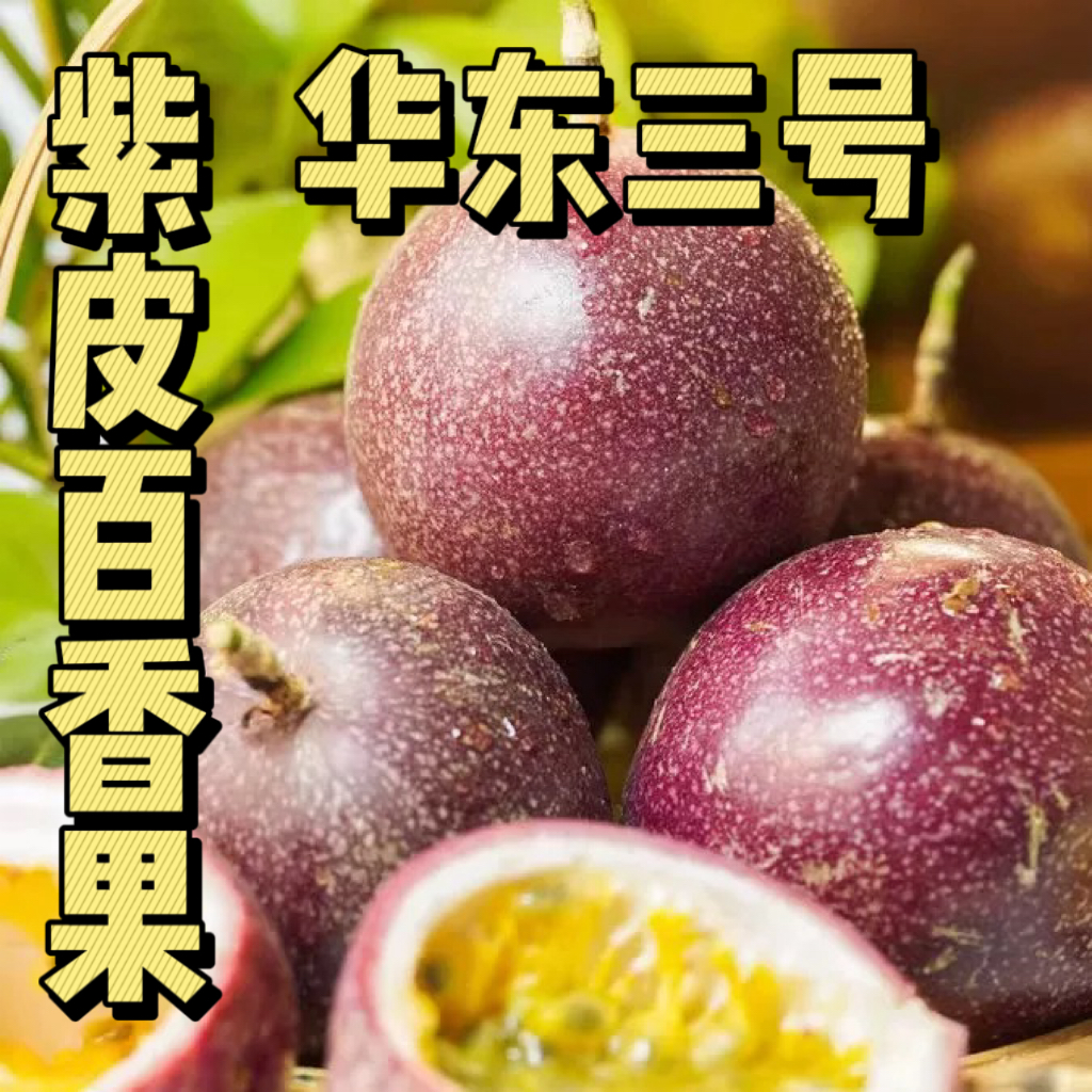 【顺丰送货上门】海南三亚蜜桃百香果金都仙食爆汁甜新鲜直发果王