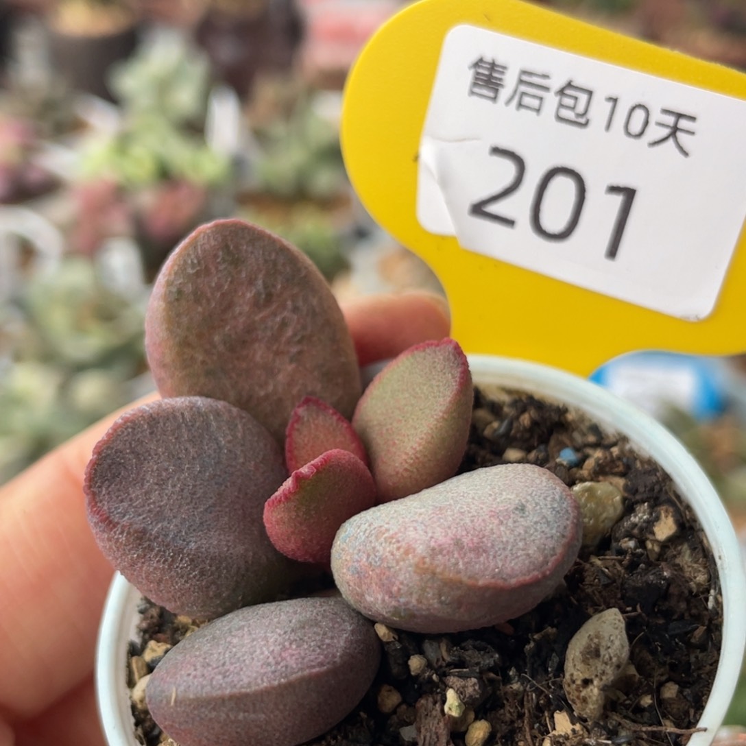 201。                         