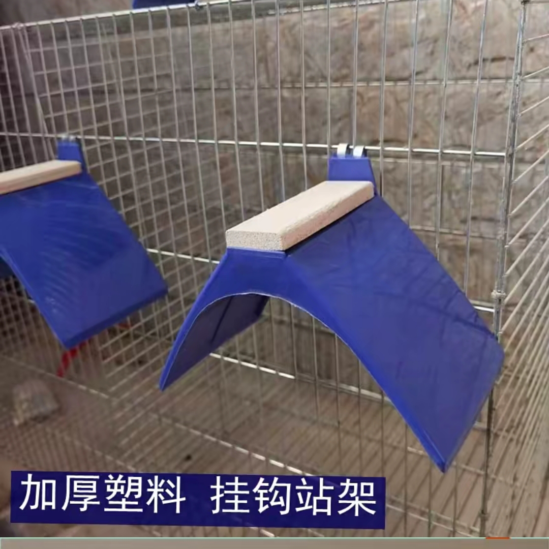 鸽子加厚塑料栖架蛋窝挂钩用品信鸽栖息站架