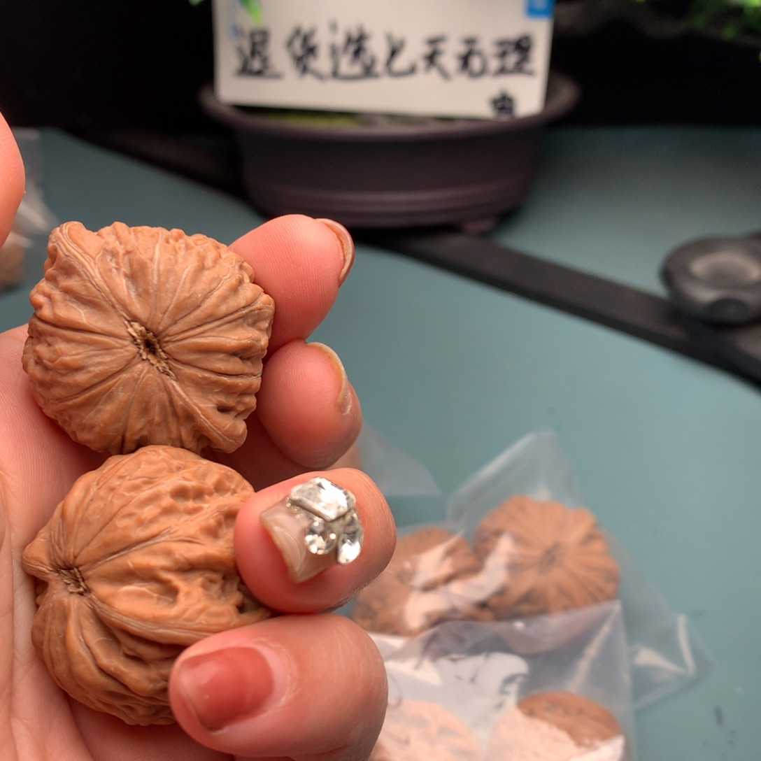 文玩核桃把件全品铁锤4243