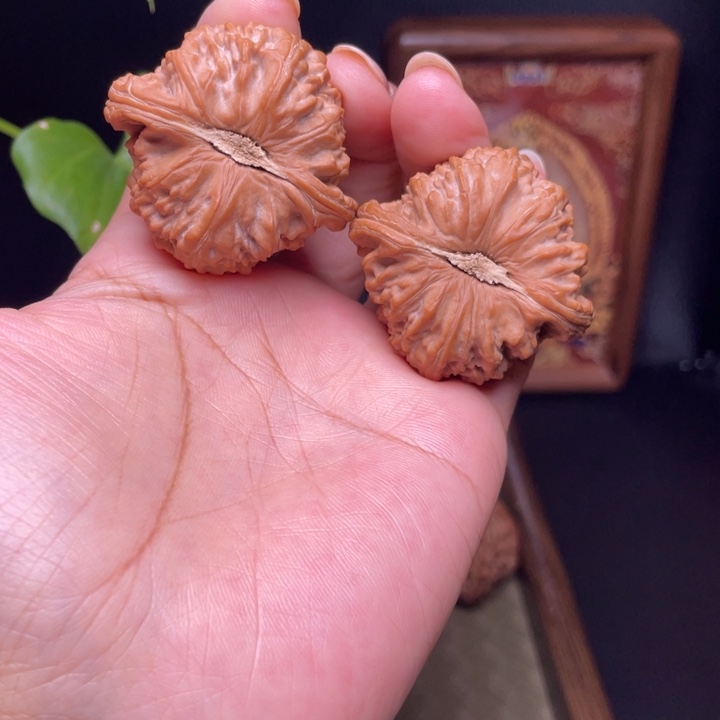 王***。全品无修43大闷白