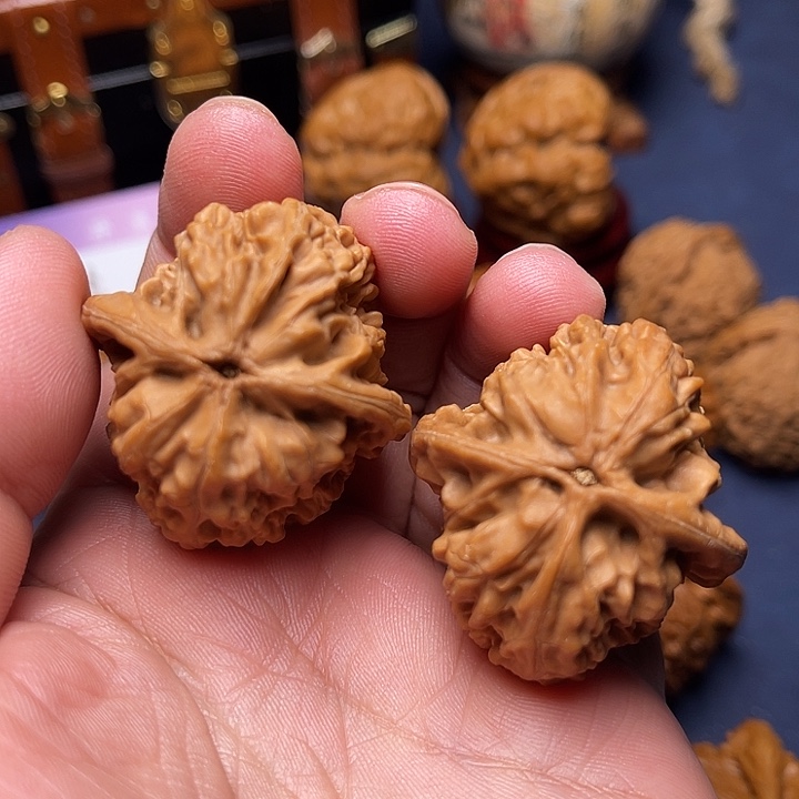 薛***文文玩核桃把件37老树鸡心