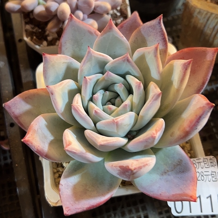 幸运的是我还没遇到