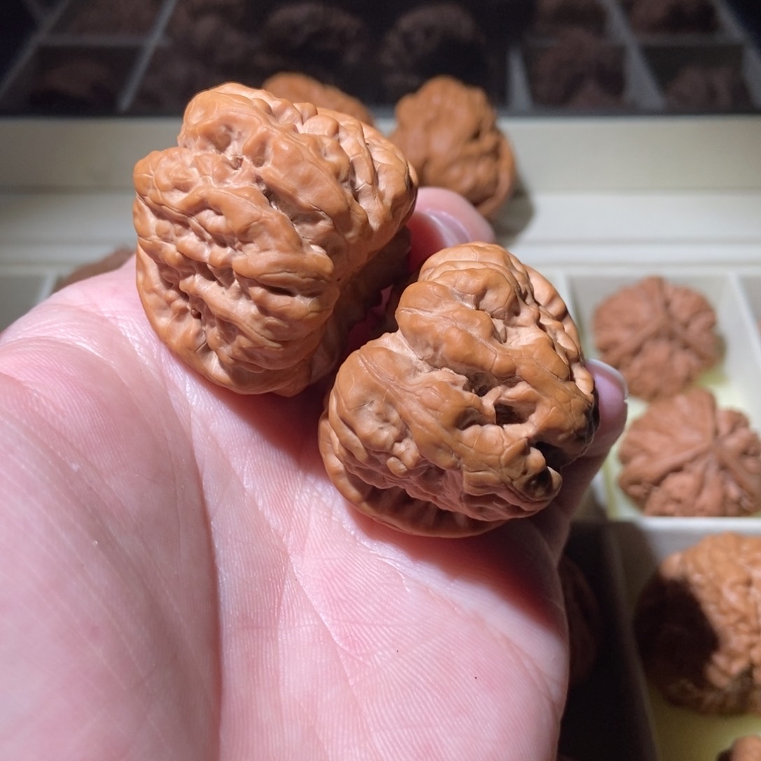 文玩核桃把件41蛤蟆