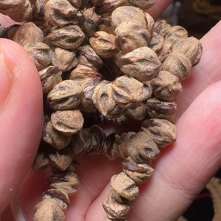 柏香籽/百香籽吊坠十*&