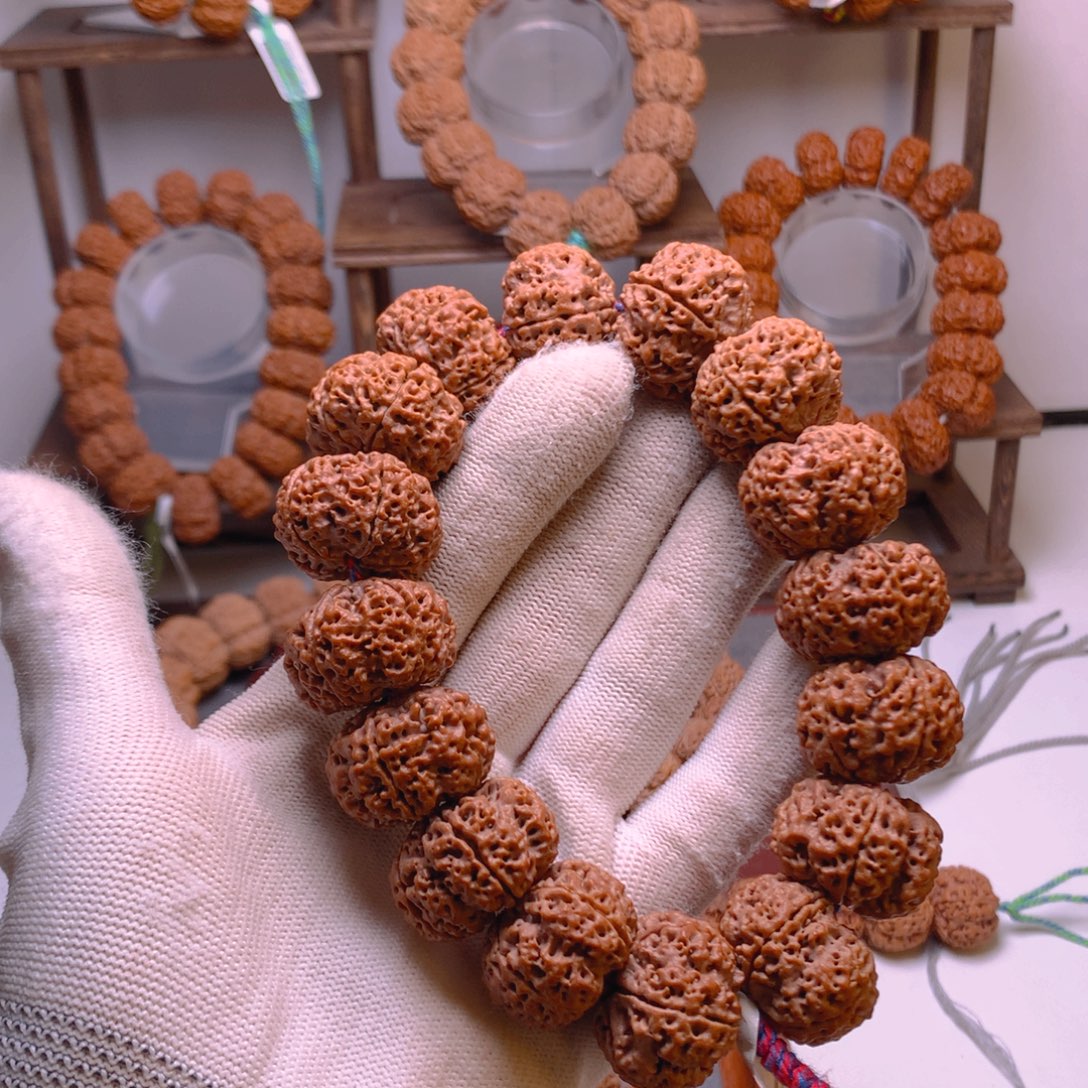 金刚菩提手串金刚菩提矮桩蜂窝微裂断齿正常介意勿拍