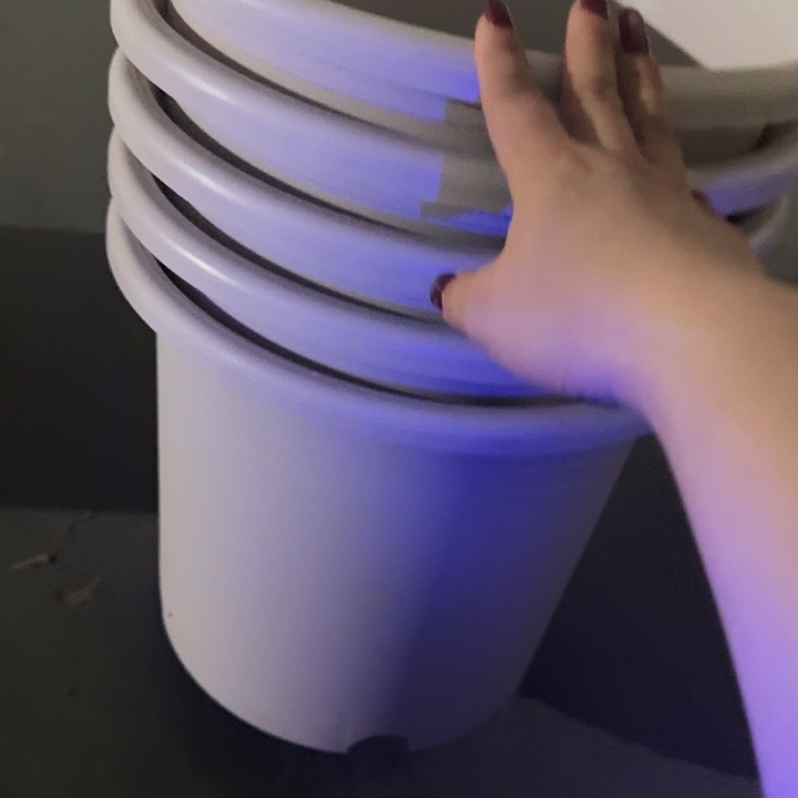 四季6号灰白无托7个特价微瑕