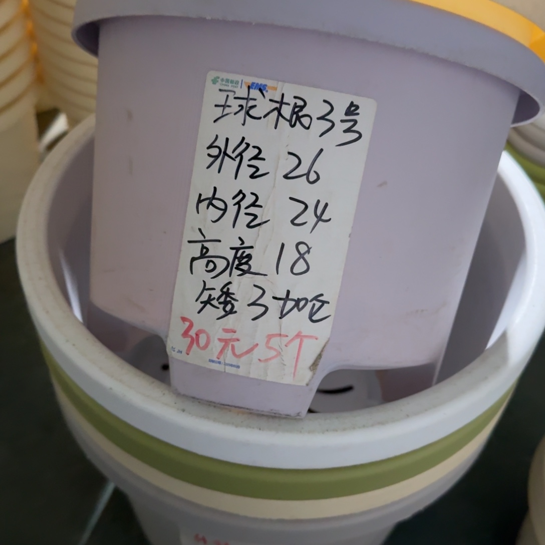 球根3#口径26高18无拖纯白6个