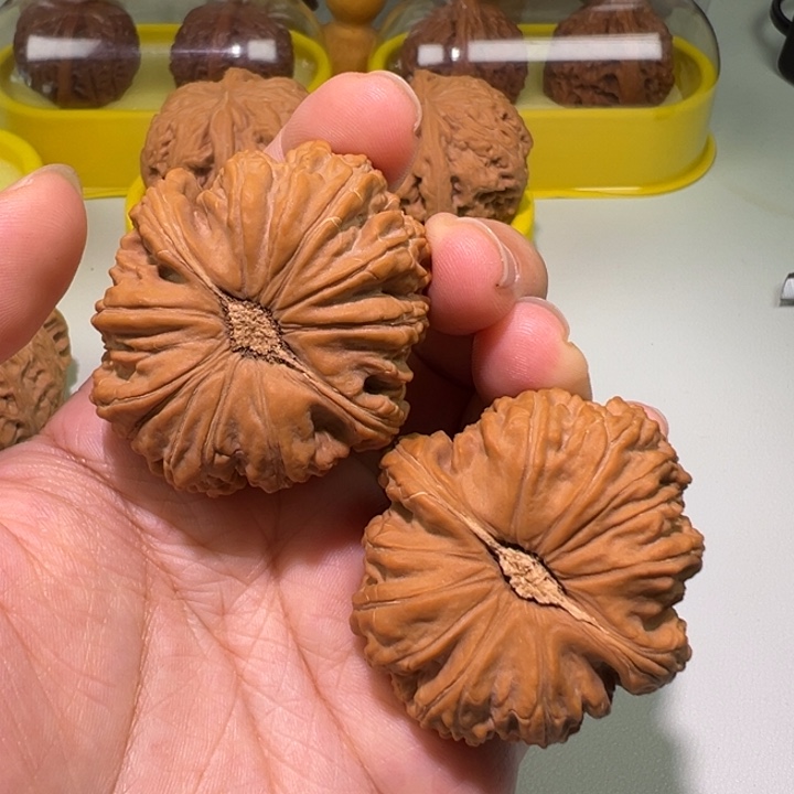 情***定文玩核桃把件42白狮子