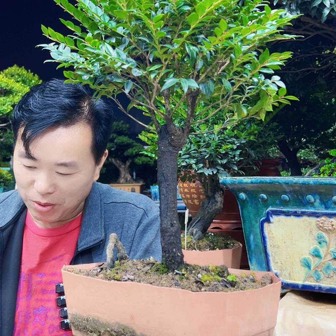 以实际为准执*12345678