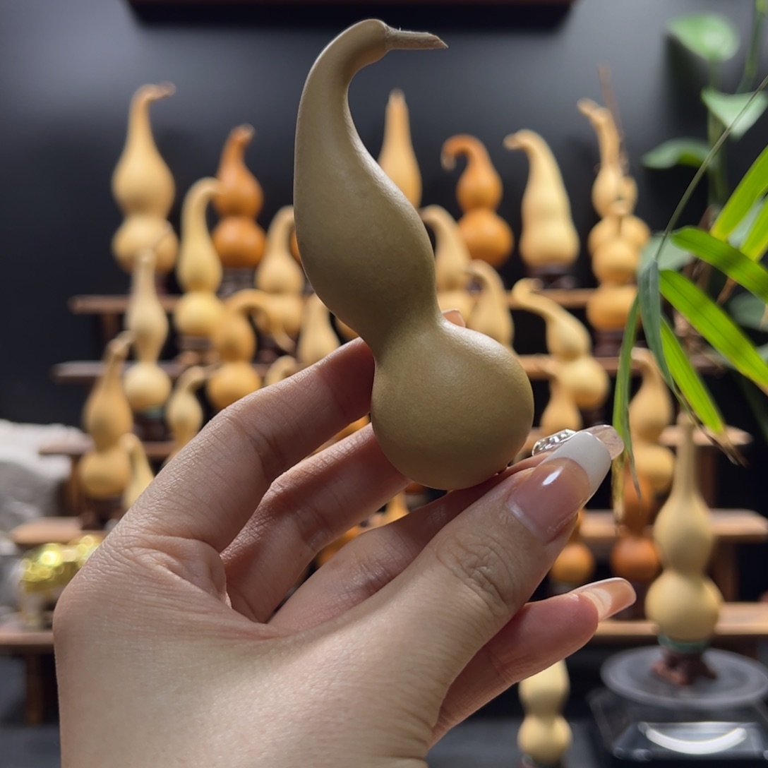 用***1木青葡萄啦咯哦哦咯哦哦哦