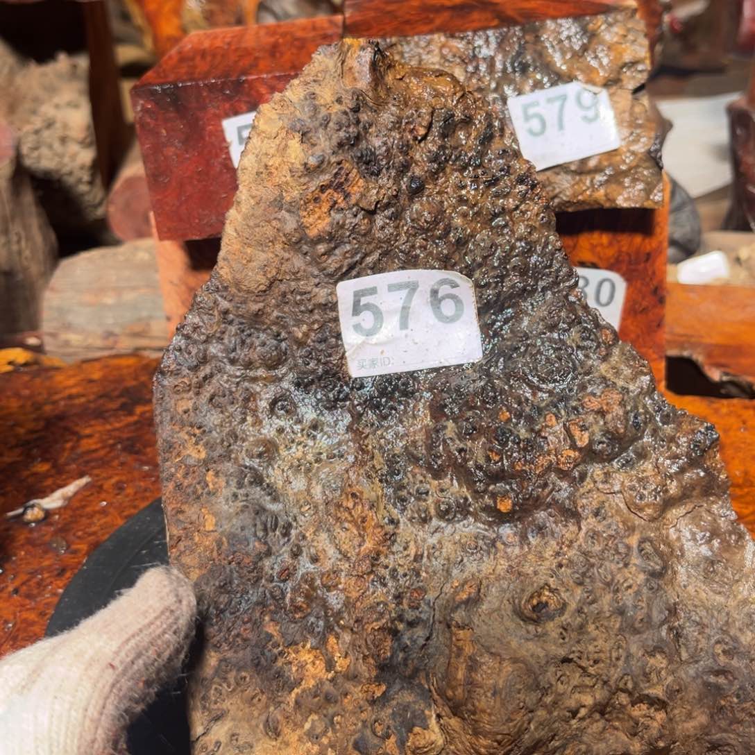 大果紫檀（缅甸花梨）