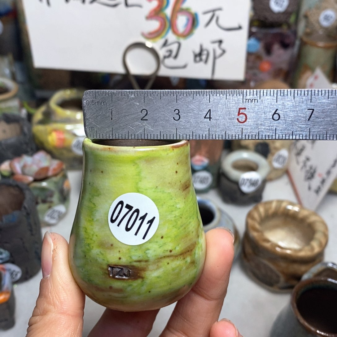 花盆拍5送一个小礼物