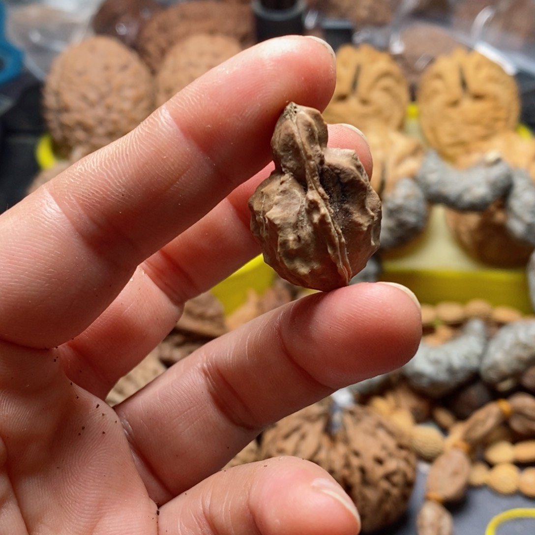 文玩核桃吊坠核桃51