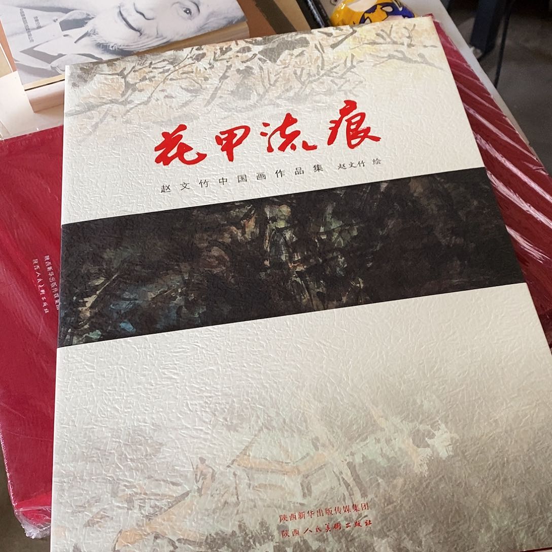 花甲流痕赵文竹中国画作品集